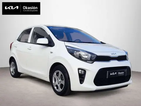 Annonce KIA PICANTO Essence 2023 d'occasion 