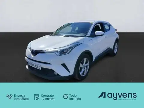 Used TOYOTA C-HR Hybrid 2019 Ad 