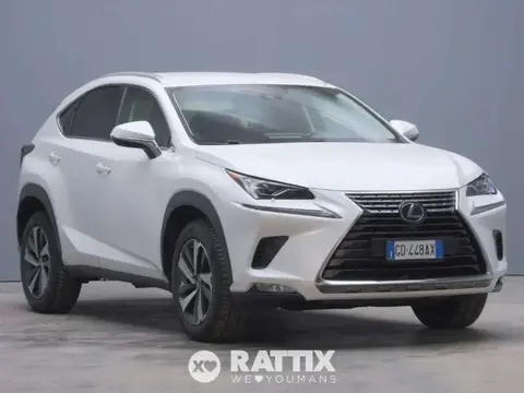 Used LEXUS NX Hybrid 2020 Ad 