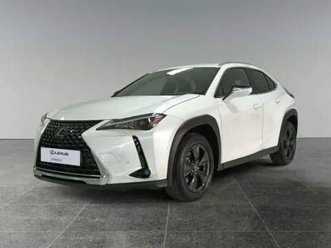 Used LEXUS UX Hybrid 2024 Ad 