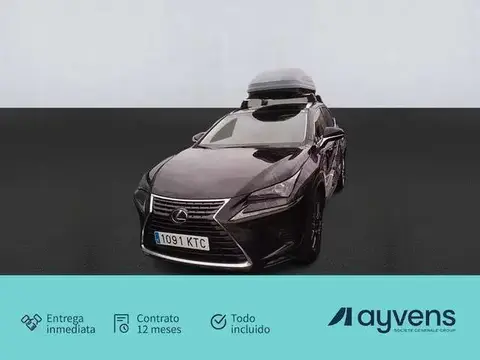 Annonce LEXUS NX Hybride 2019 d'occasion 