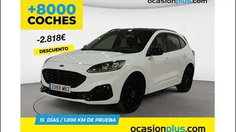 Used FORD KUGA Hybrid 2022 Ad 