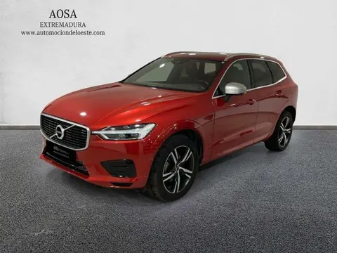 Used VOLVO XC60 Diesel 2019 Ad 