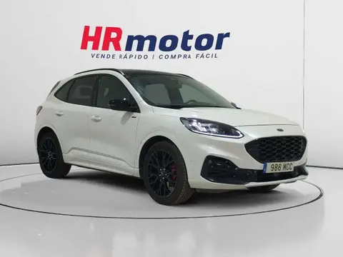 Used FORD KUGA Petrol 2022 Ad 