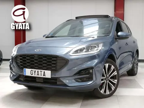 Used FORD KUGA  2022 Ad 