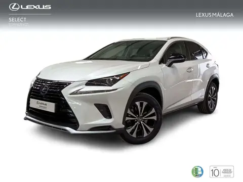 Annonce LEXUS NX Hybride 2021 d'occasion 