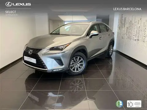 Used LEXUS NX Hybrid 2018 Ad 