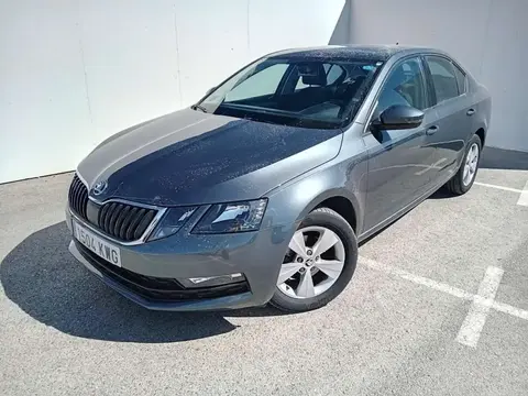 Annonce SKODA OCTAVIA Diesel 2019 d'occasion 