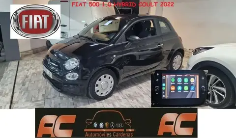 Used FIAT 500 Petrol 2022 Ad 