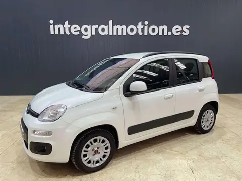 Used FIAT PANDA Petrol 2020 Ad 