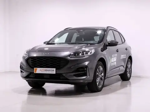 Annonce FORD KUGA Électrique 2023 d'occasion 