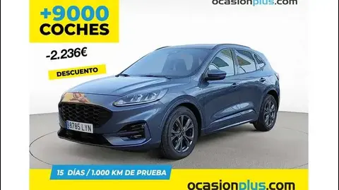 Used FORD KUGA Diesel 2022 Ad 