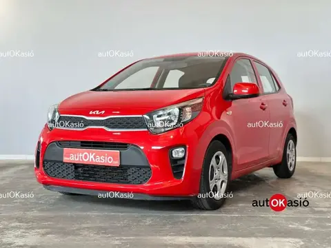 Annonce KIA PICANTO Essence 2021 d'occasion 