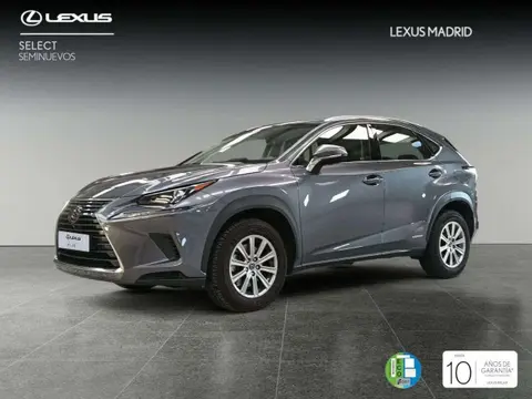 Annonce LEXUS NX Hybride 2020 d'occasion 