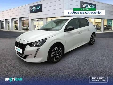 Used PEUGEOT 208 Petrol 2023 Ad 