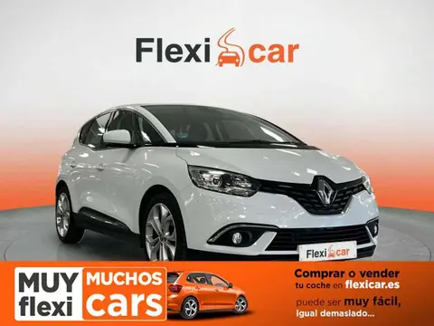 Used RENAULT SCENIC Petrol 2018 Ad 