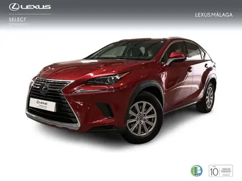 Annonce LEXUS NX Hybride 2020 d'occasion 