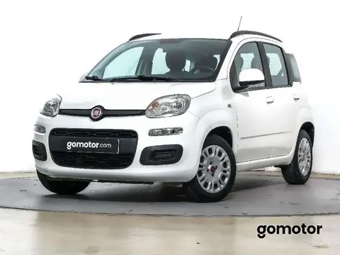 Used FIAT PANDA Petrol 2019 Ad 