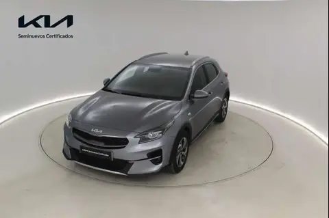 Annonce KIA XCEED Essence 2024 d'occasion 