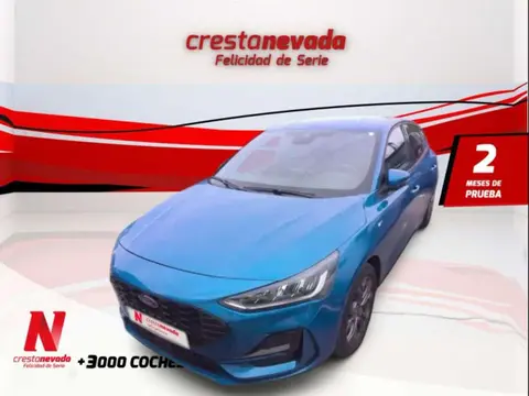 Annonce FORD FOCUS Hybride 2022 d'occasion 