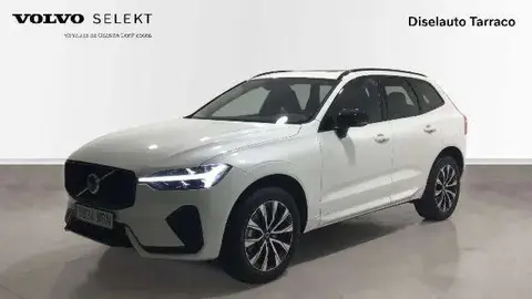 Annonce VOLVO XC60 Diesel 2023 d'occasion 