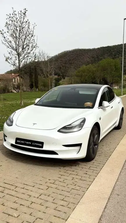 Annonce TESLA MODEL 3 Électrique 2019 d'occasion 