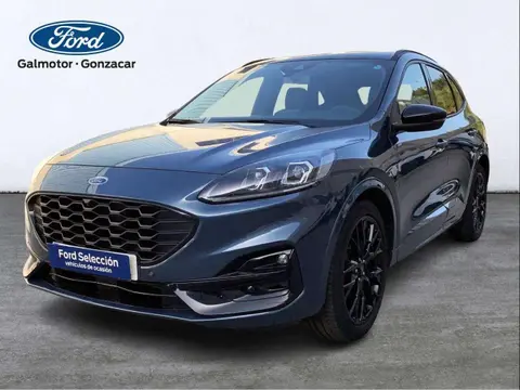 Annonce FORD KUGA Essence 2023 d'occasion 