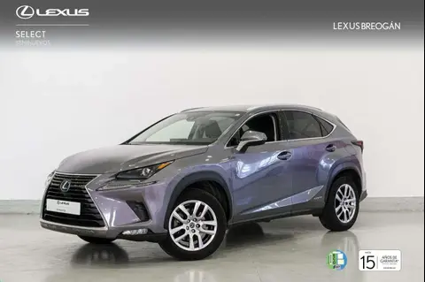 Used LEXUS NX Hybrid 2019 Ad 