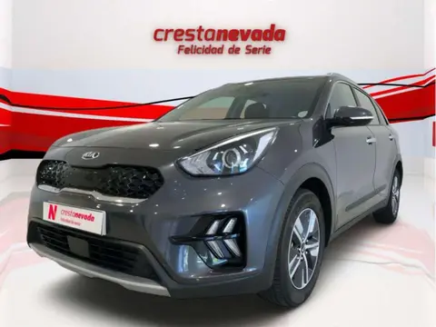 Annonce KIA NIRO Hybride 2021 d'occasion 