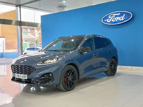 Used FORD KUGA Hybrid 2023 Ad 