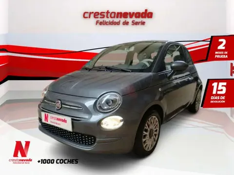 Used FIAT 500 Hybrid 2020 Ad 