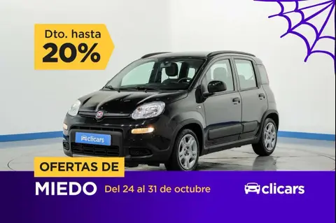 Used FIAT PANDA Petrol 2022 Ad 