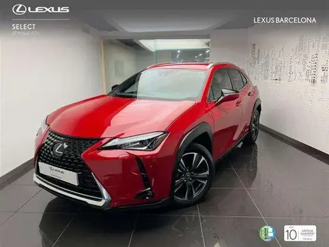 Used LEXUS UX Hybrid 2020 Ad 