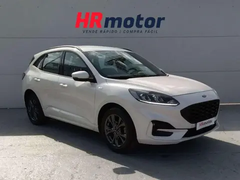 Used FORD KUGA Hybrid 2021 Ad 