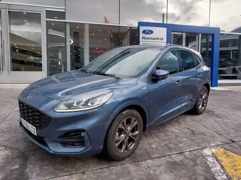 Used FORD KUGA Petrol 2021 Ad 