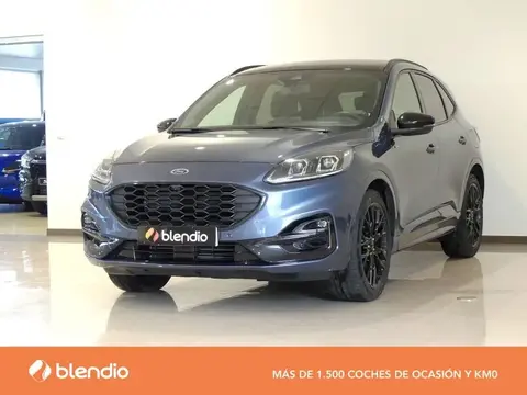 Used FORD KUGA Petrol 2023 Ad 