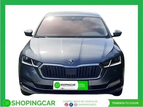 Used SKODA OCTAVIA Petrol 2021 Ad 