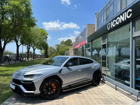 Used LAMBORGHINI URUS Petrol 2022 Ad 