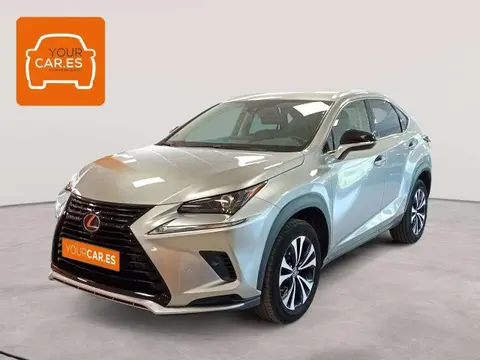 Used LEXUS NX Hybrid 2021 Ad 