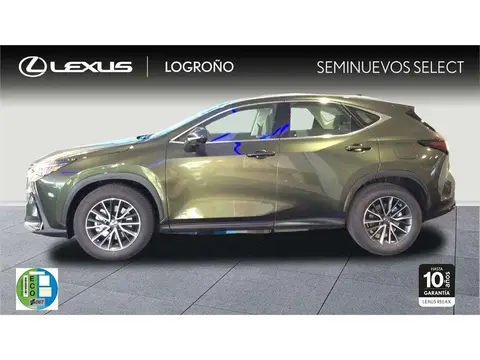 Used LEXUS NX Hybrid 2024 Ad 