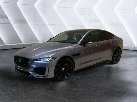 Annonce JAGUAR XE Hybride 2024 d'occasion 