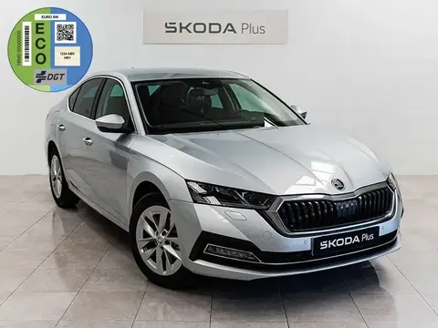 Annonce SKODA OCTAVIA Essence 2024 d'occasion 