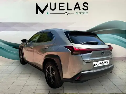 Annonce LEXUS UX Hybride 2023 d'occasion 