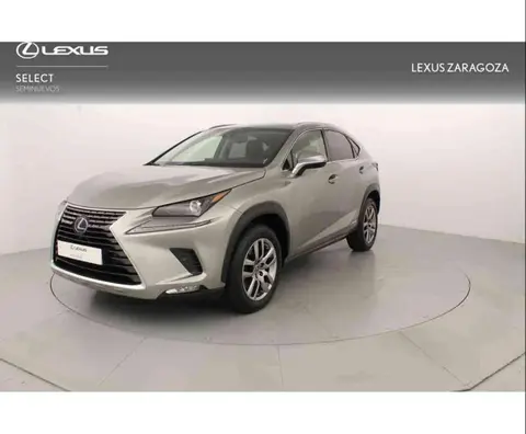 Annonce LEXUS NX Hybride 2018 d'occasion 