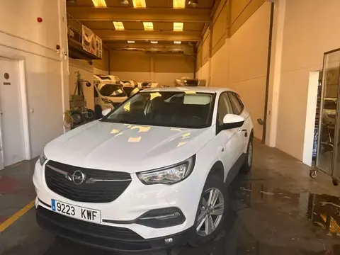 Used OPEL GRANDLAND Diesel 2019 Ad 