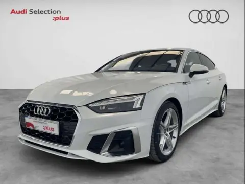 Used AUDI A5 Diesel 2023 Ad 