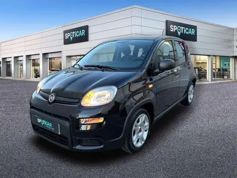 Annonce FIAT PANDA Essence 2023 d'occasion 