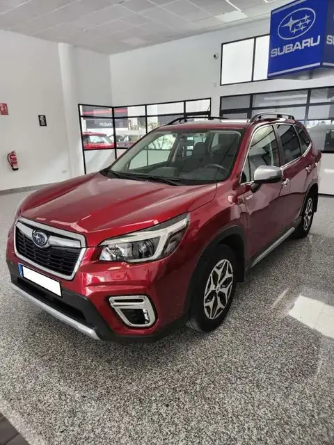 Used SUBARU FORESTER Hybrid 2022 Ad 