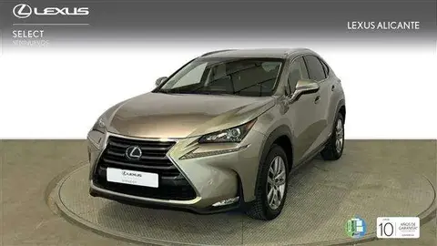 Annonce LEXUS NX Hybride 2017 d'occasion 