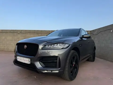 Used JAGUAR F-PACE Diesel 2017 Ad 